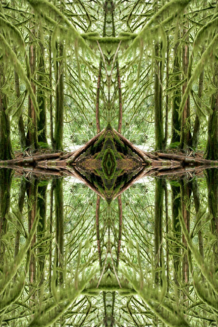 Forest Moss Cross