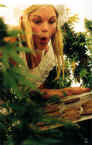 Baker Surprise