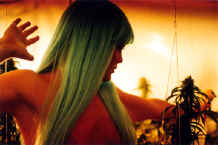 Blue Hair