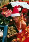 Santa Stash 